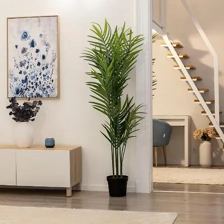 Deluxe & Cozy Dream In The Heart Of