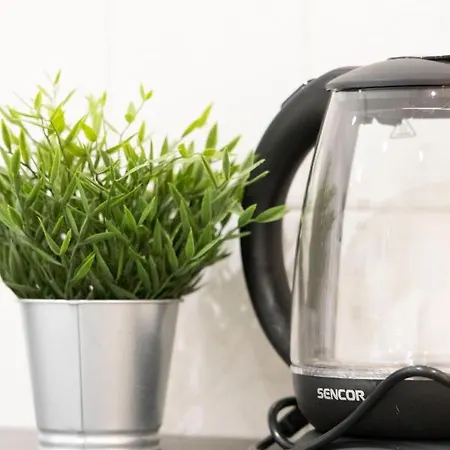 Appartement Deluxe & Cozy Dream In The Heart Of